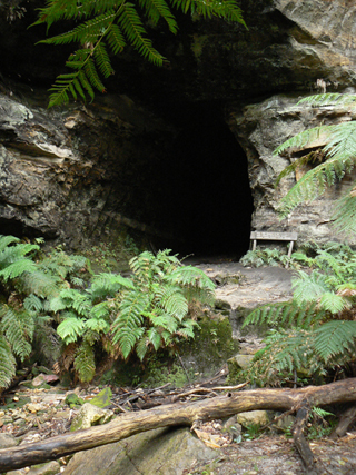  - Glowworm Tunnel